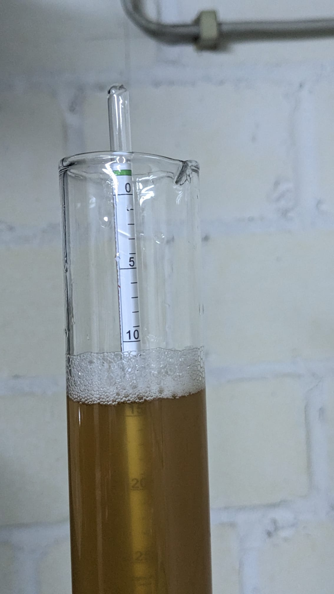 Jeestinger Stammwuerze